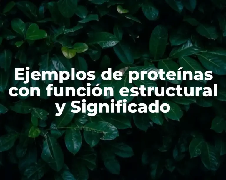 Ejemplos de proteínas con función estructural y Significado