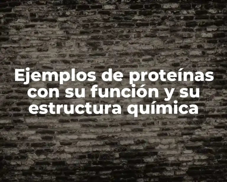 Ejemplos de proteínas con su función y su estructura química