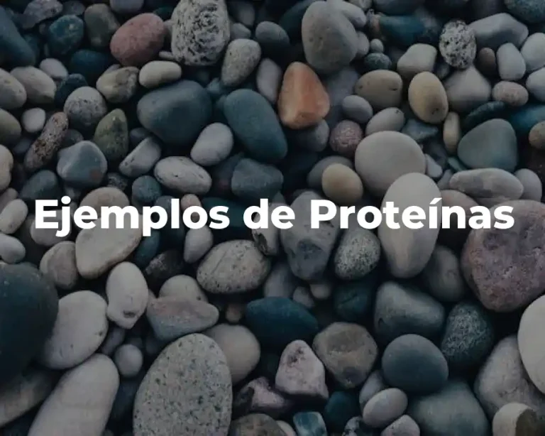Ejemplos de Proteínas