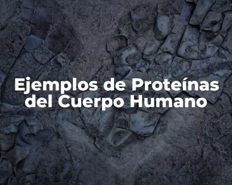 Ejemplos de Proteínas del Cuerpo Humano