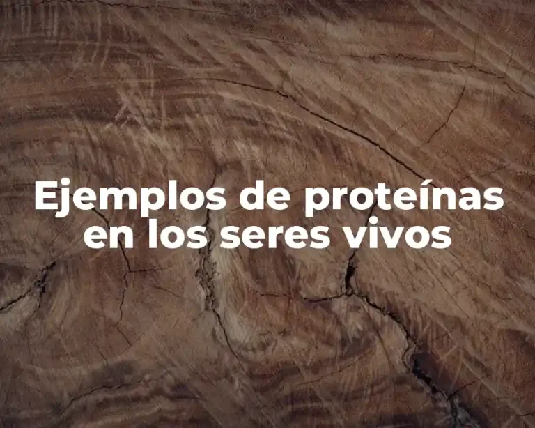 Ejemplos de proteínas en los seres vivos