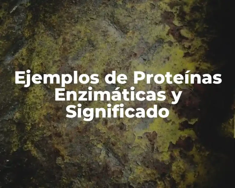 Ejemplos de Proteínas Enzimáticas y Significado