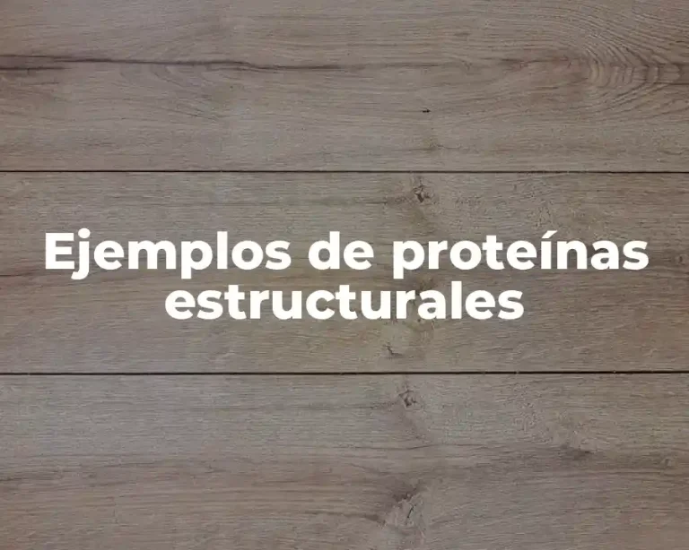 Ejemplos de proteínas estructurales