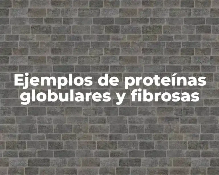 Ejemplos de proteínas globulares y fibrosas