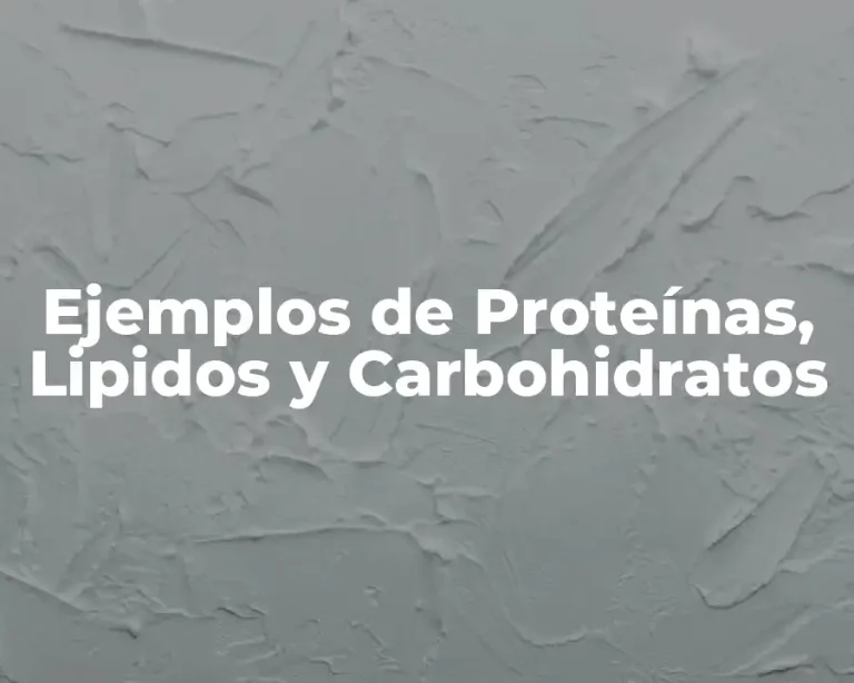 Ejemplos de Proteínas, Lipidos y Carbohidratos