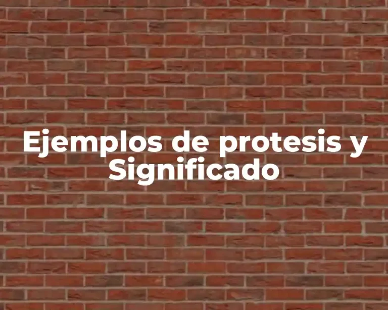 Ejemplos de protesis y Significado