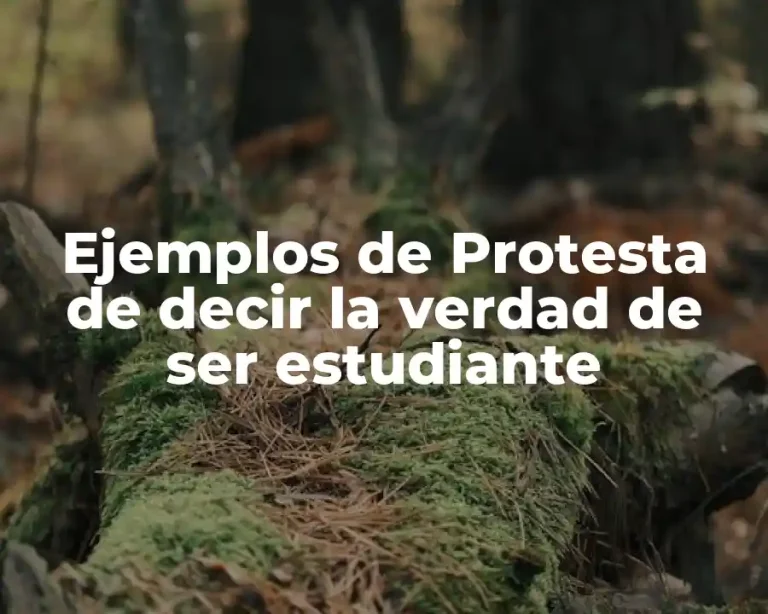 Ejemplos de Protesta de decir la verdad de ser estudiante