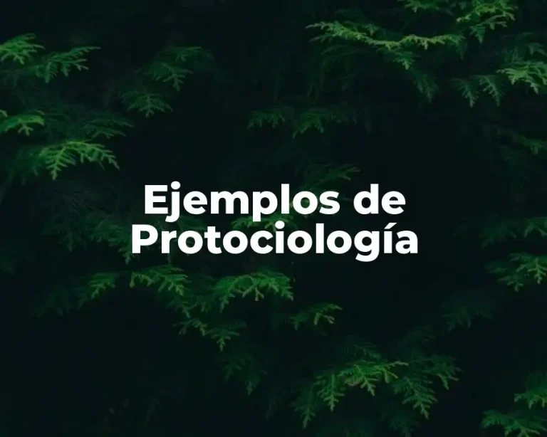 Ejemplos de Protociología