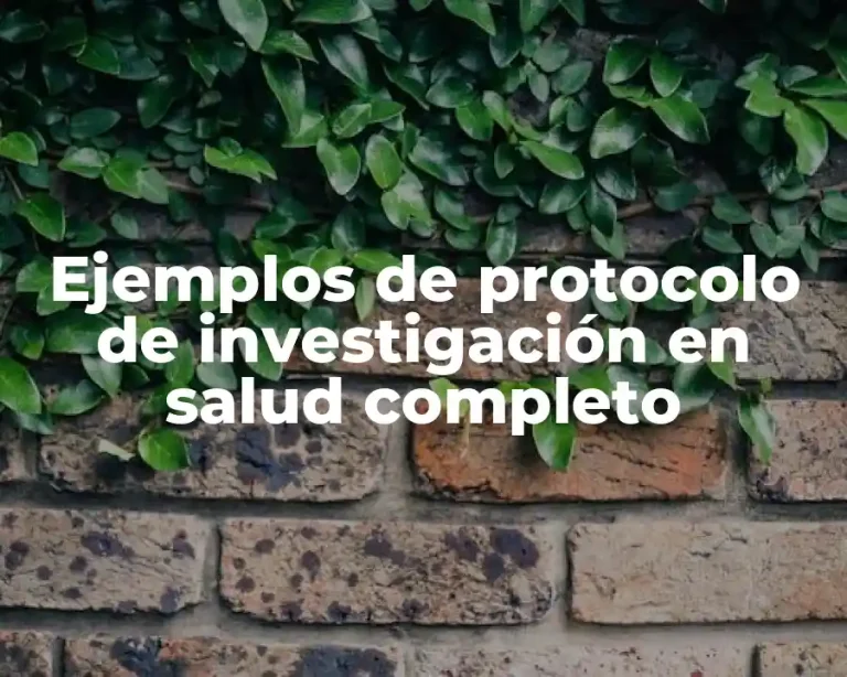 Ejemplos de protocolo de investigación en salud completo