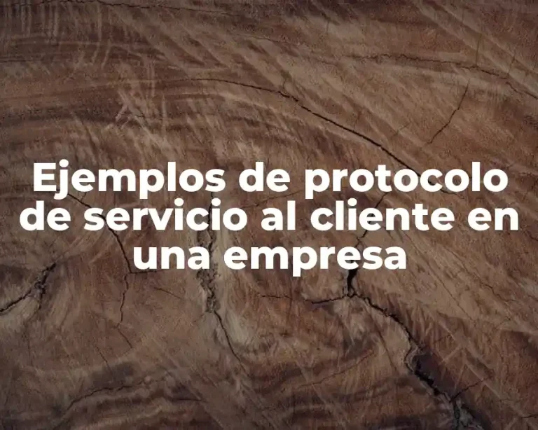 Ejemplos de protocolo de servicio al cliente en una empresa