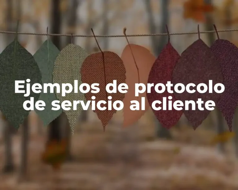 Ejemplos de protocolo de servicio al cliente