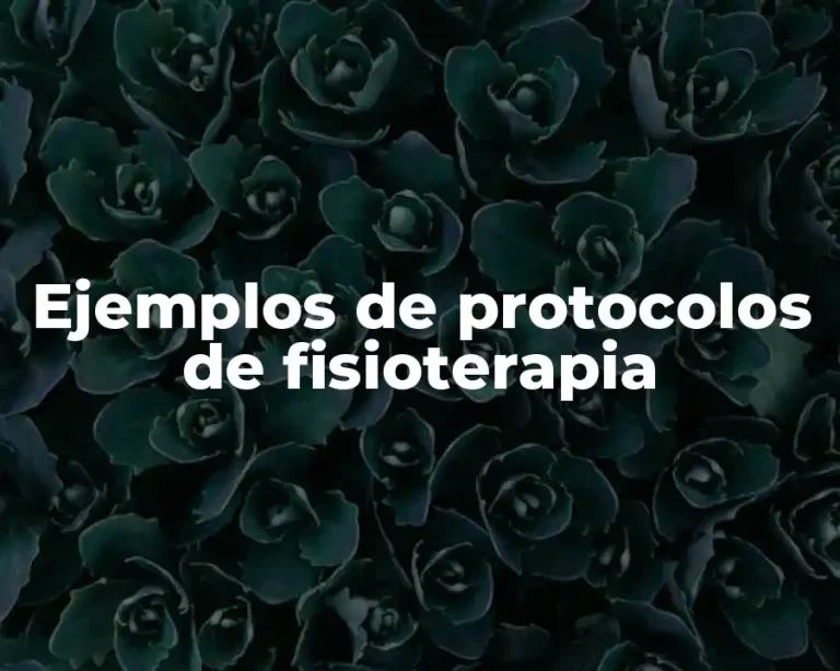 Ejemplos de protocolos de fisioterapia