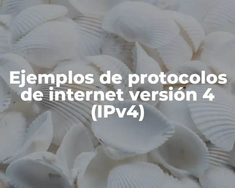 Ejemplos de protocolos de internet versión 4 (IPv4)