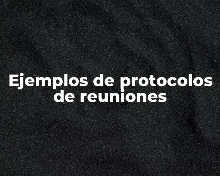 Ejemplos de protocolos de reuniones
