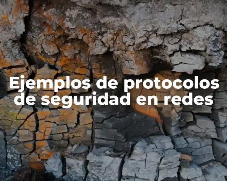 Ejemplos de protocolos de seguridad en redes
