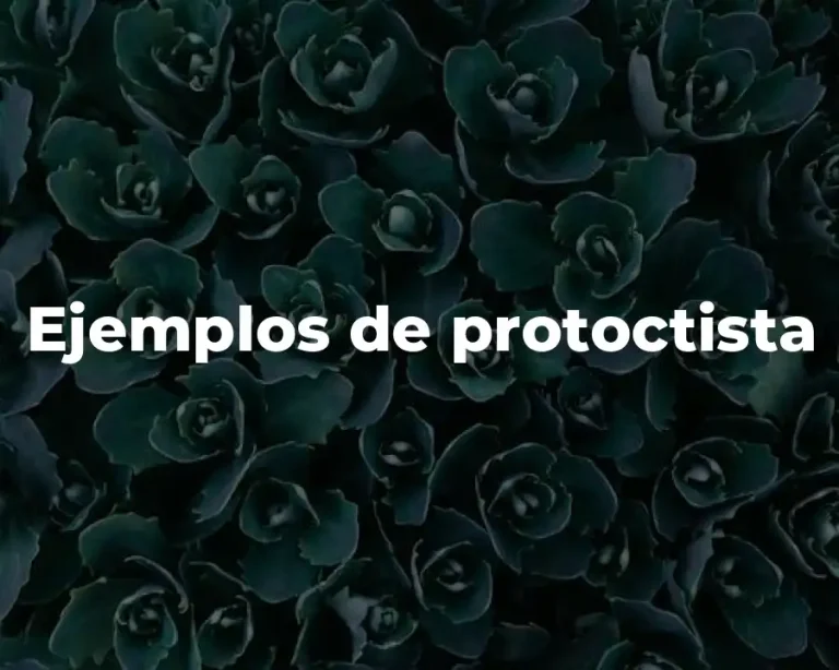 Ejemplos de protoctista