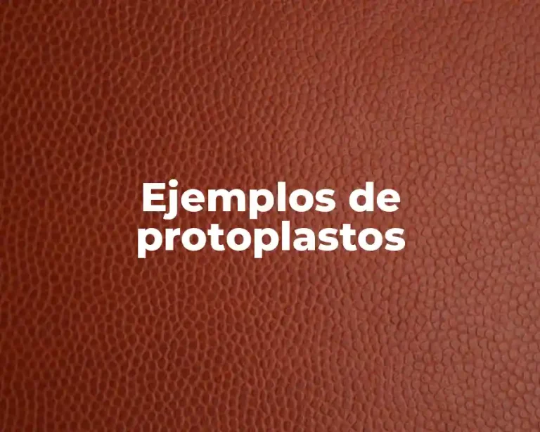 Ejemplos de protoplastos