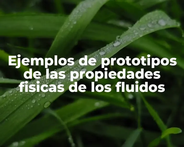 Ejemplos de prototipos de las propiedades fisicas de los fluidos
