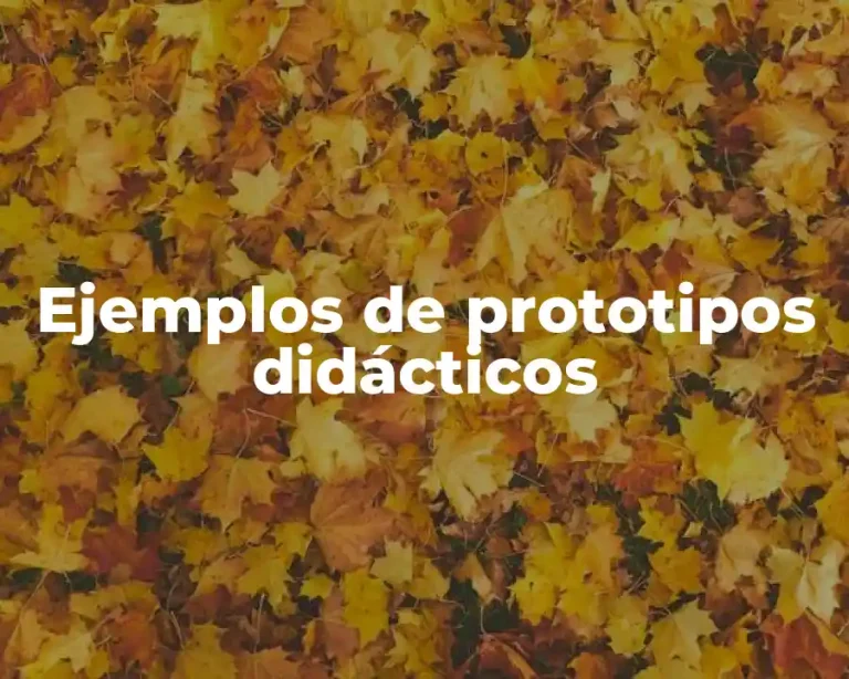 Ejemplos de prototipos didácticos
