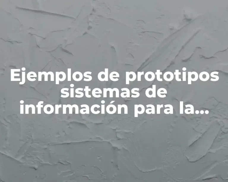 Ejemplos de prototipos sistemas de información para la seguridad pública