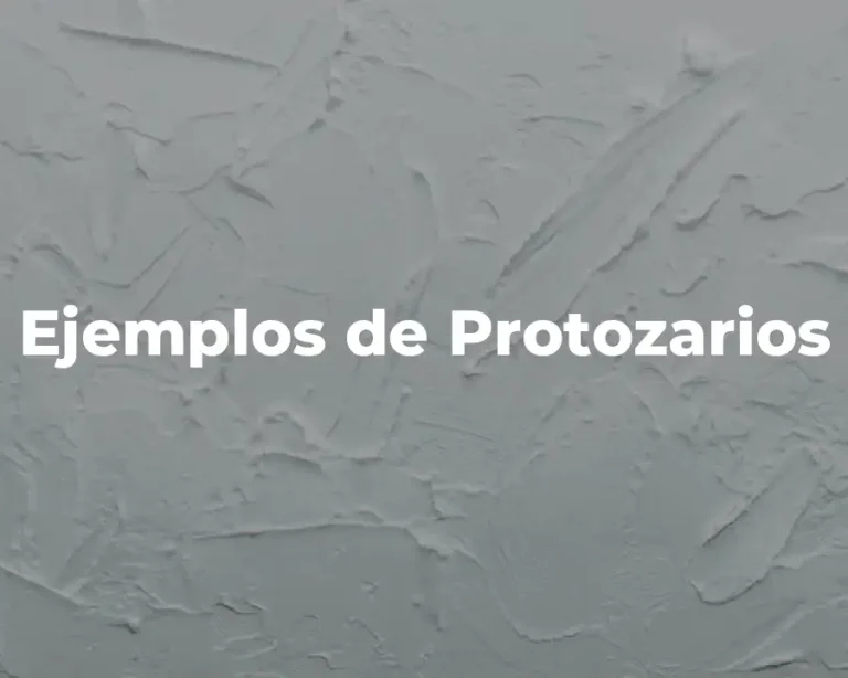 Ejemplos de Protozarios