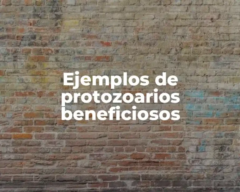 Ejemplos de protozoarios beneficiosos