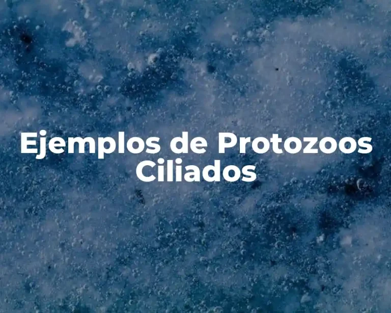Ejemplos de Protozoos Ciliados