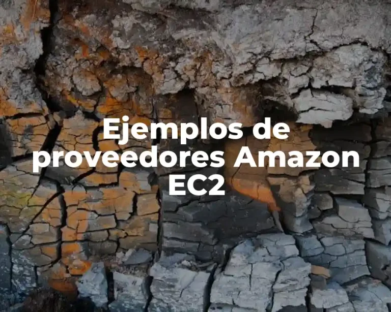 Ejemplos de proveedores Amazon EC2