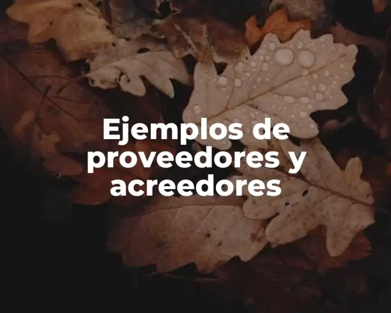 Ejemplos de proveedores y acreedores