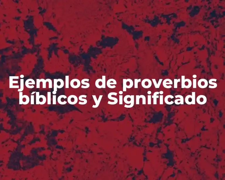 Ejemplos de proverbios bíblicos y Significado
