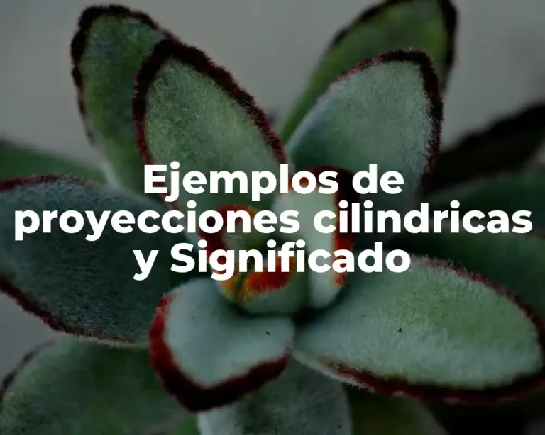 Ejemplos de proyecciones cilindricas y Significado