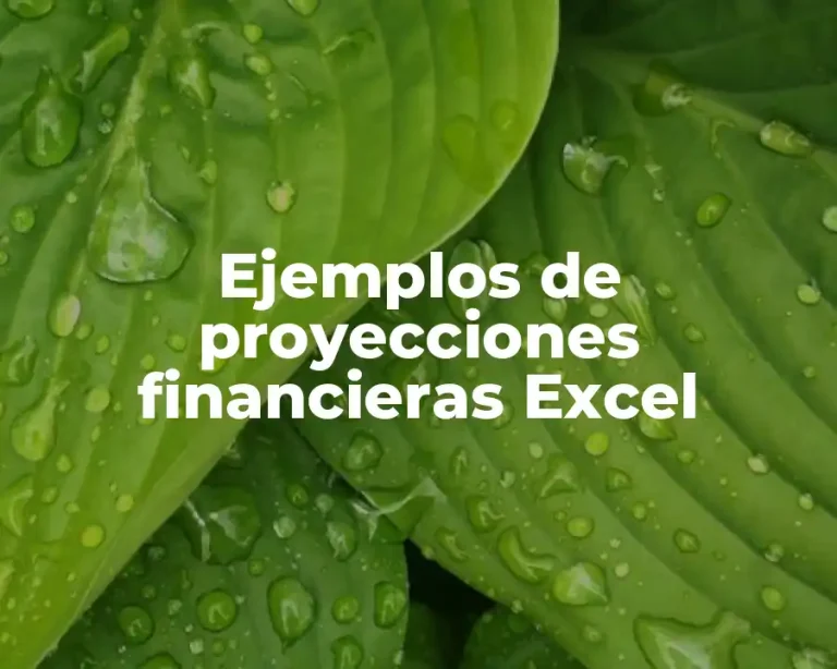 Ejemplos de proyecciones financieras Excel