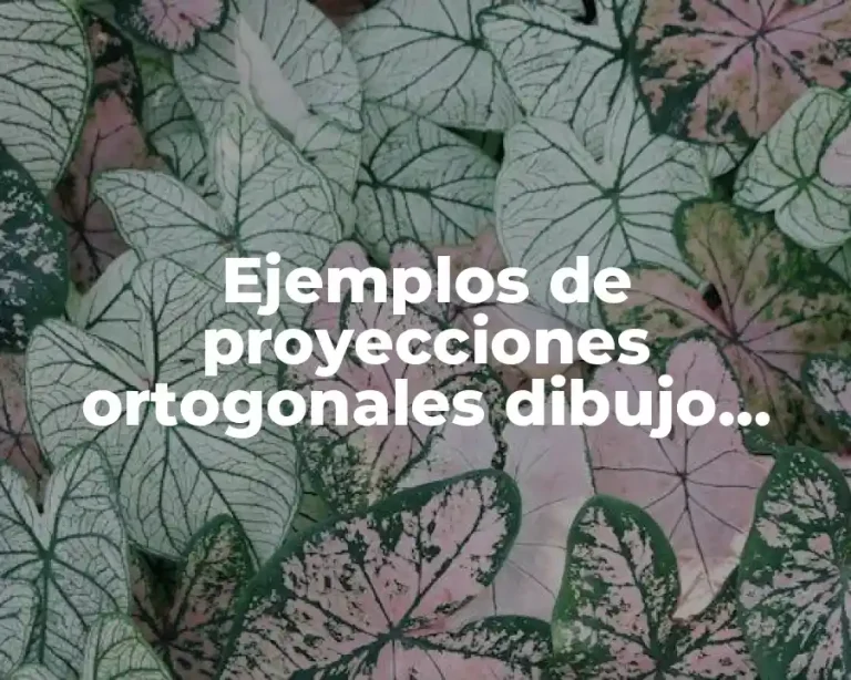 Ejemplos de proyecciones ortogonales dibujo técnico
