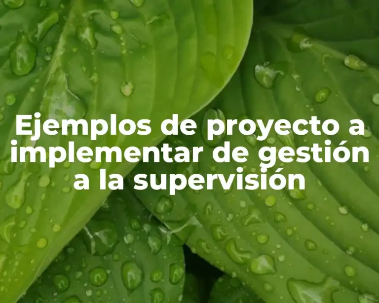 Ejemplos de proyecto a implementar de gestión a la supervisión