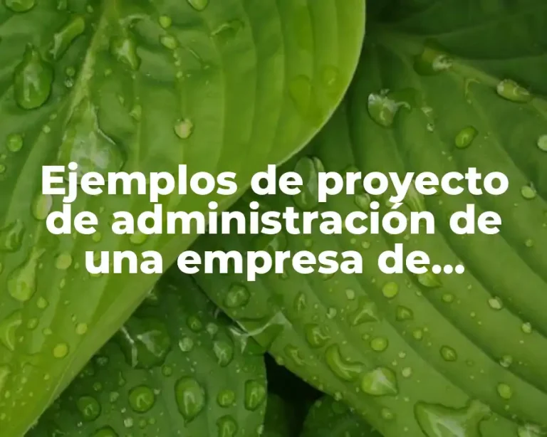 Ejemplos de proyecto de administración de una empresa de servicios y Significado