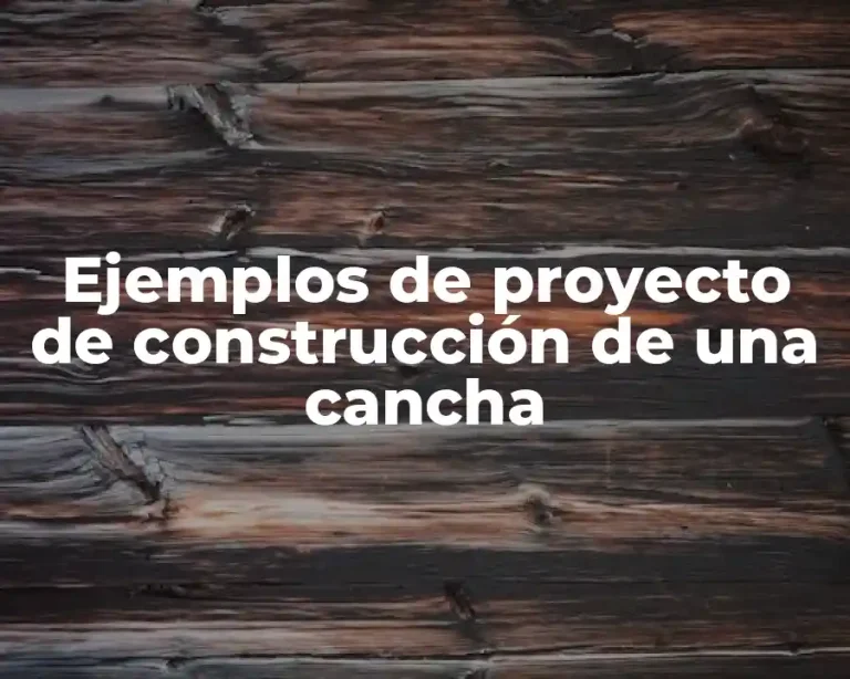Ejemplos de proyecto de construcción de una cancha