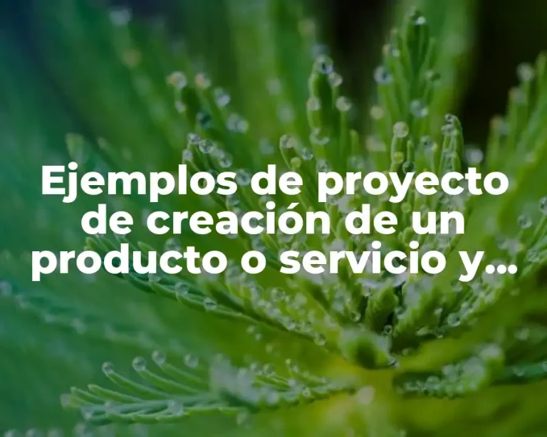 Ejemplos de proyecto de creación de un producto o servicio y Significado
