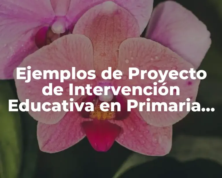 Ejemplos de Proyecto de Intervención Educativa en Primaria UPN