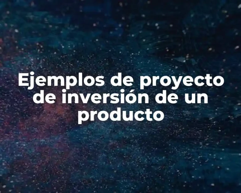 Ejemplos de proyecto de inversión de un producto