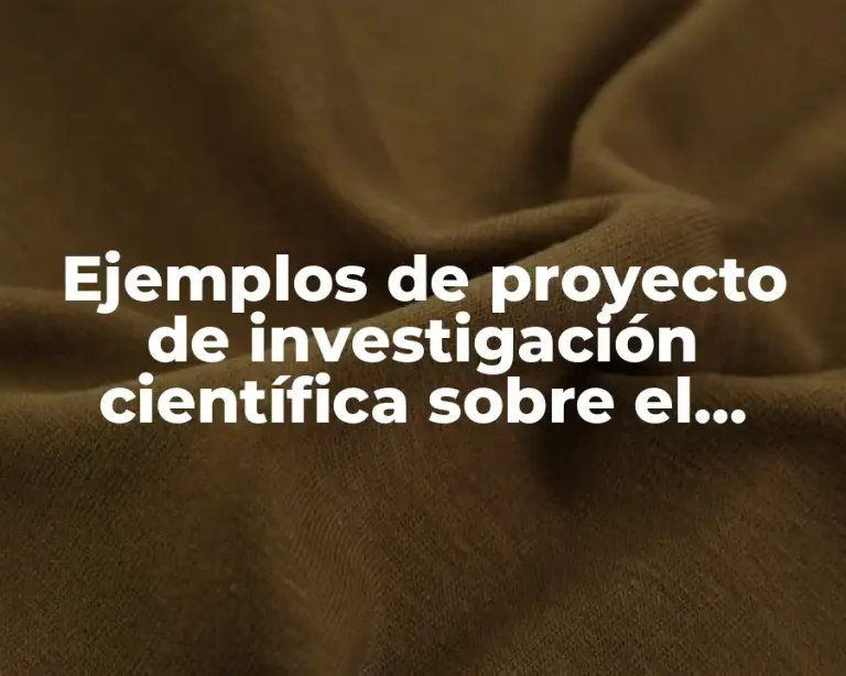 Ejemplos de proyecto de investigación científica sobre el medio ambiente