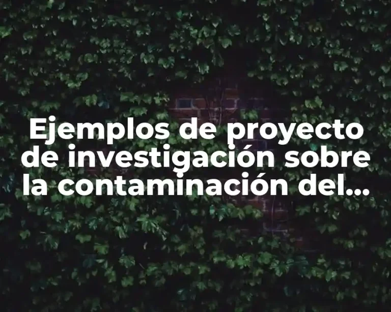 Ejemplos de proyecto de investigación sobre la contaminación del agua