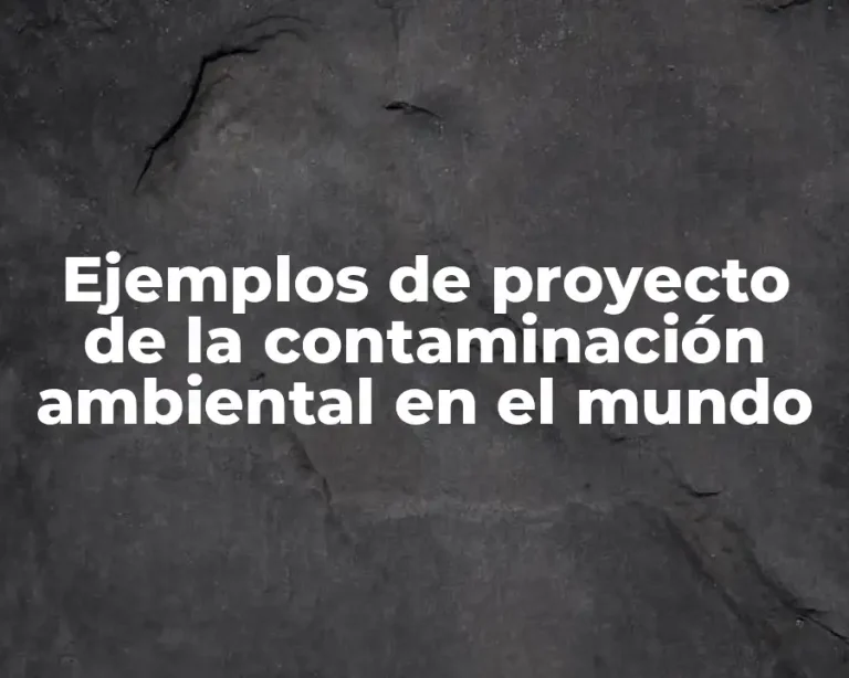 Ejemplos de proyecto de la contaminación ambiental en el mundo