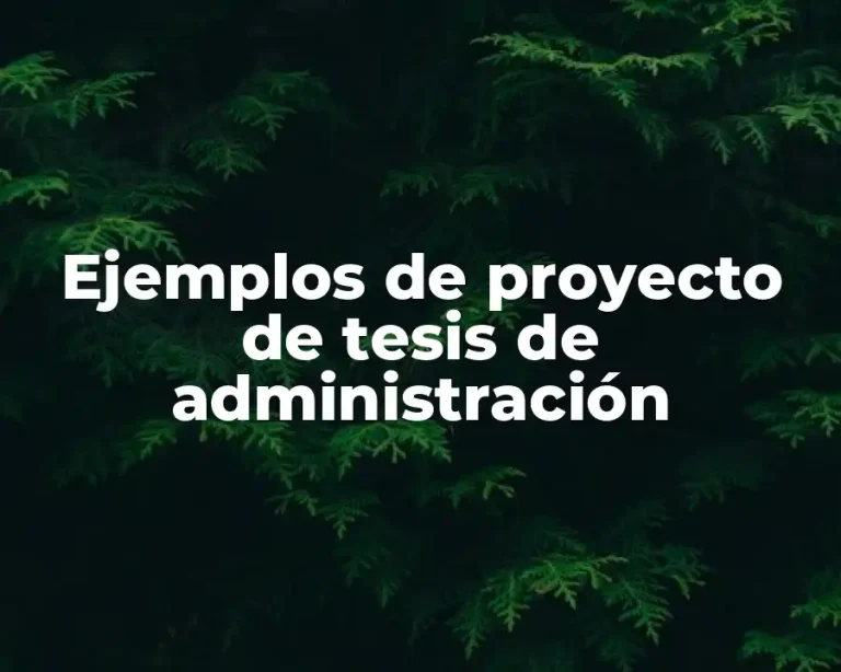 Ejemplos de proyecto de tesis de administración