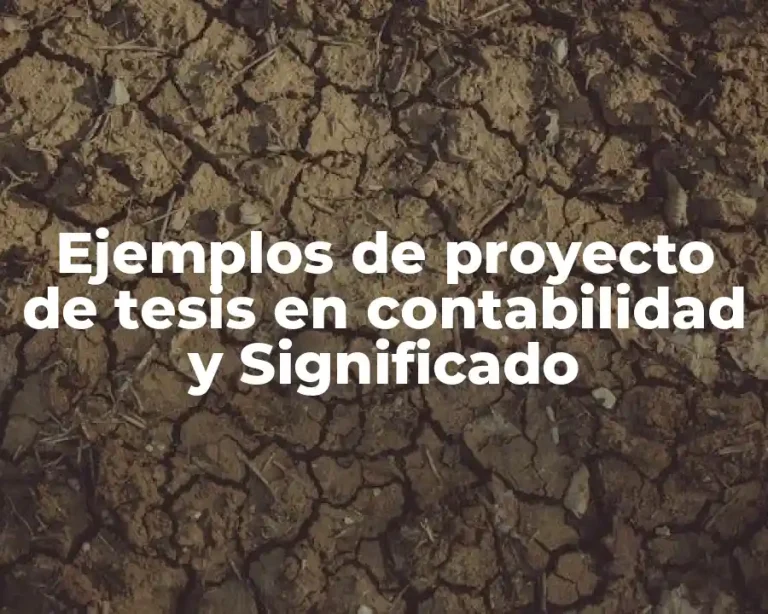 Ejemplos de proyecto de tesis en contabilidad y Significado