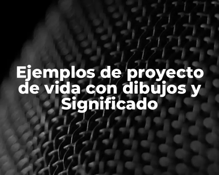 Ejemplos de proyecto de vida con dibujos y Significado