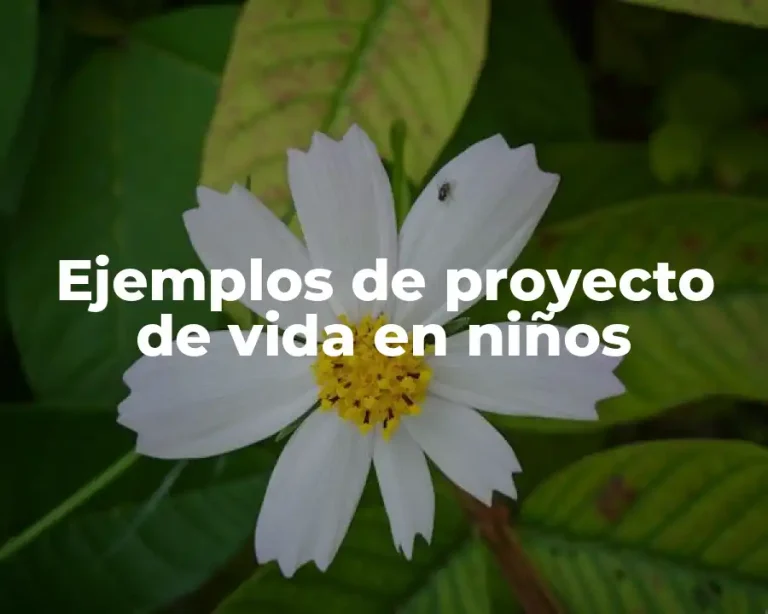 Ejemplos de proyecto de vida en niños