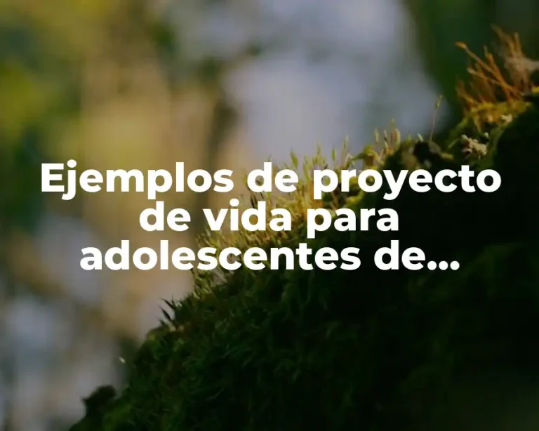 Ejemplos de proyecto de vida para adolescentes de secundaria