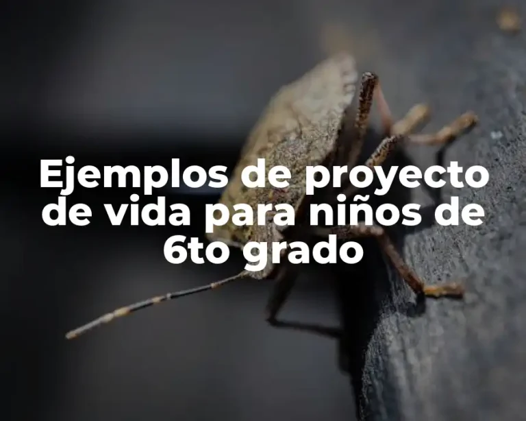 Ejemplos de proyecto de vida para niños de 6to grado