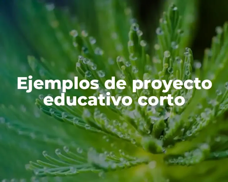 Ejemplos de proyecto educativo corto