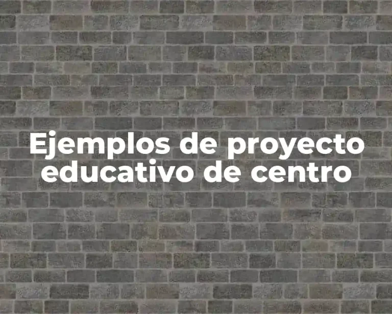 Ejemplos de proyecto educativo de centro